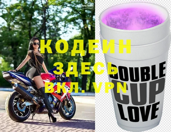 стаф Арсеньев
