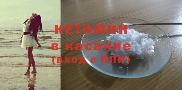 стаф Арсеньев