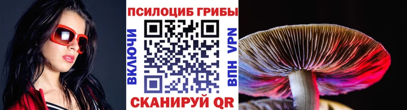 Галлюциногенные грибы мухоморы  Сортавала 